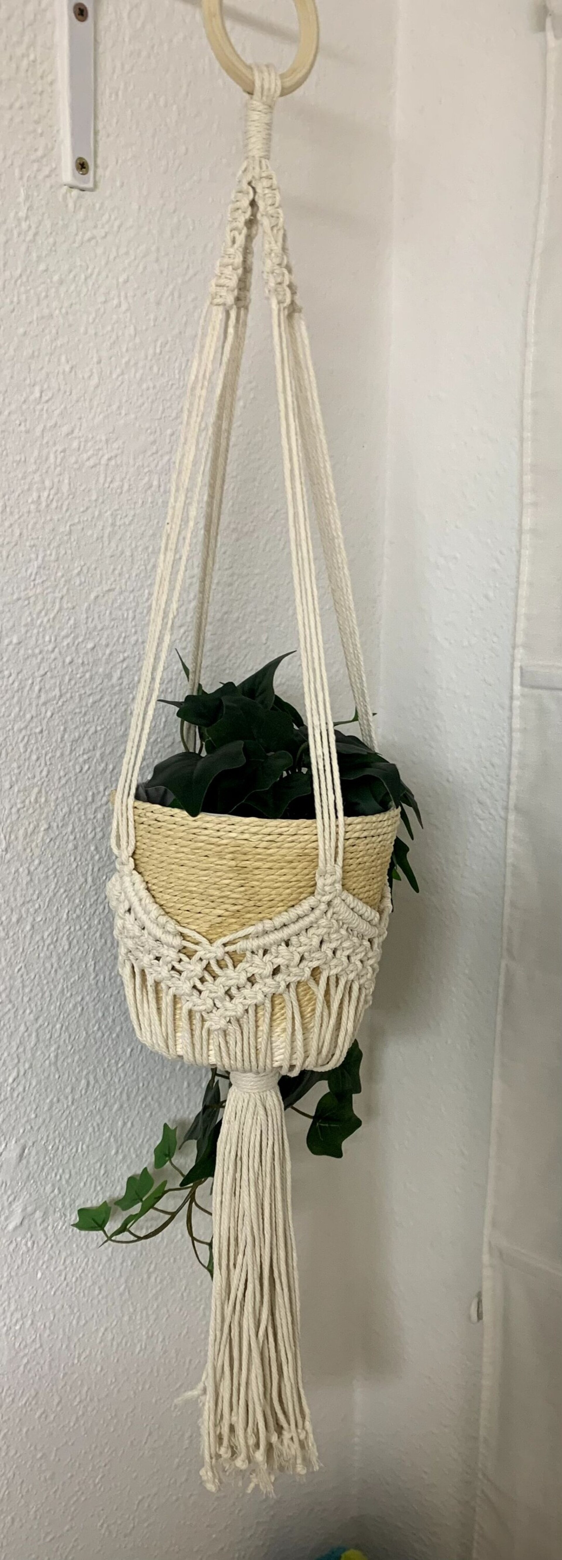 Macetero de macrame Beige - 6